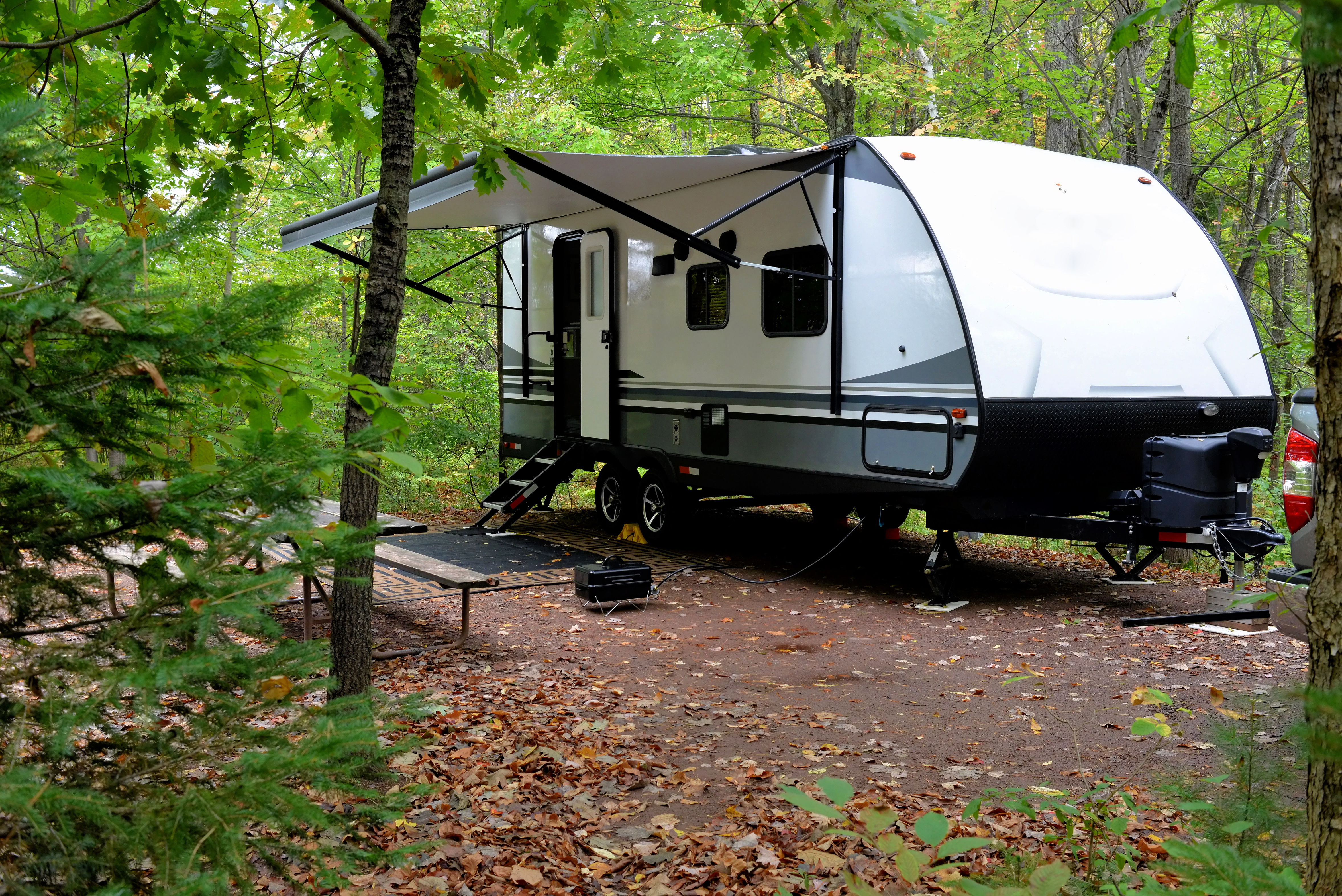 A recreational vehicle parked in the woods